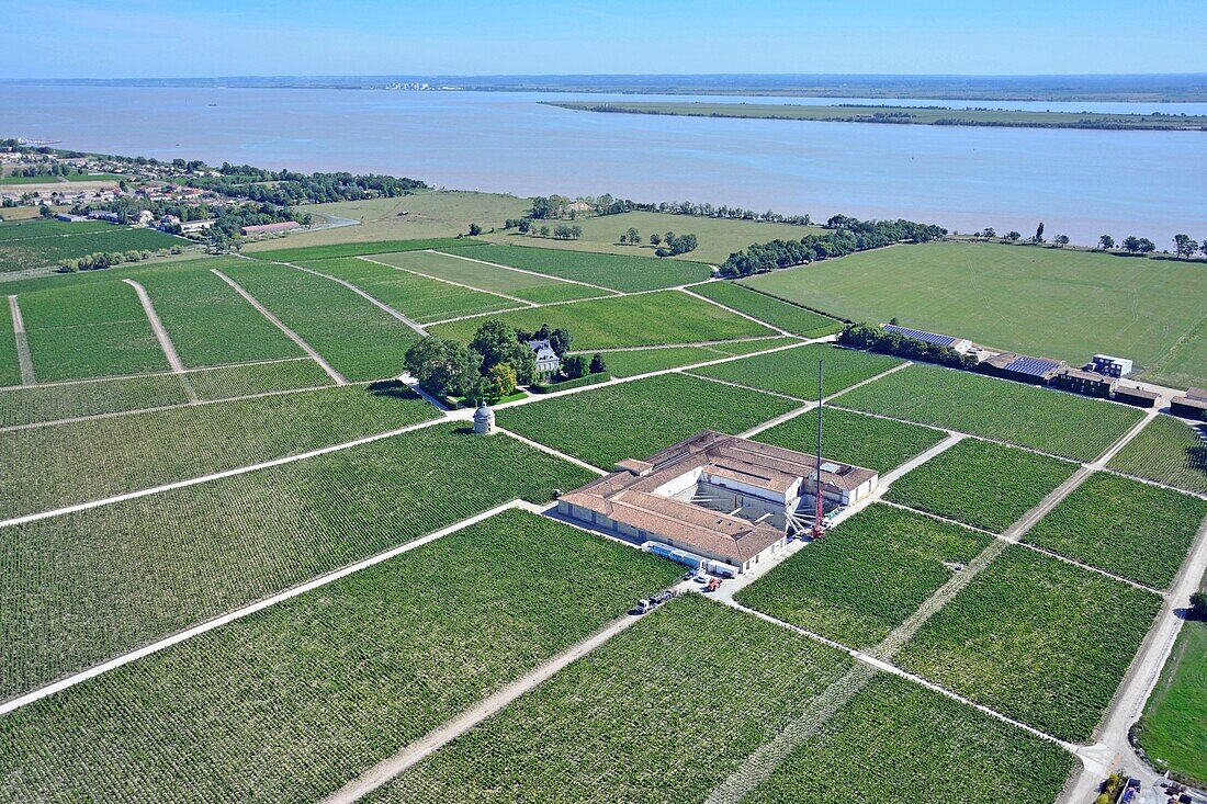 France, Gironde, Medoc, Pauillac, Chateau Latour, the famous tower and Gironde estuary in background (aerial view)