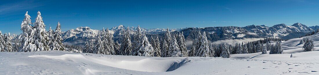 Frankreich, Haute Savoie, massive Bauges, oberhalb von Annecy Grenze mit der Savoie, das Semnoz Plateau außergewöhnlichen Aussichtspunkt auf die nördlichen Alpen, Panoramablick auf den schneebedeckten Wald und massiven Bornes und Mount White