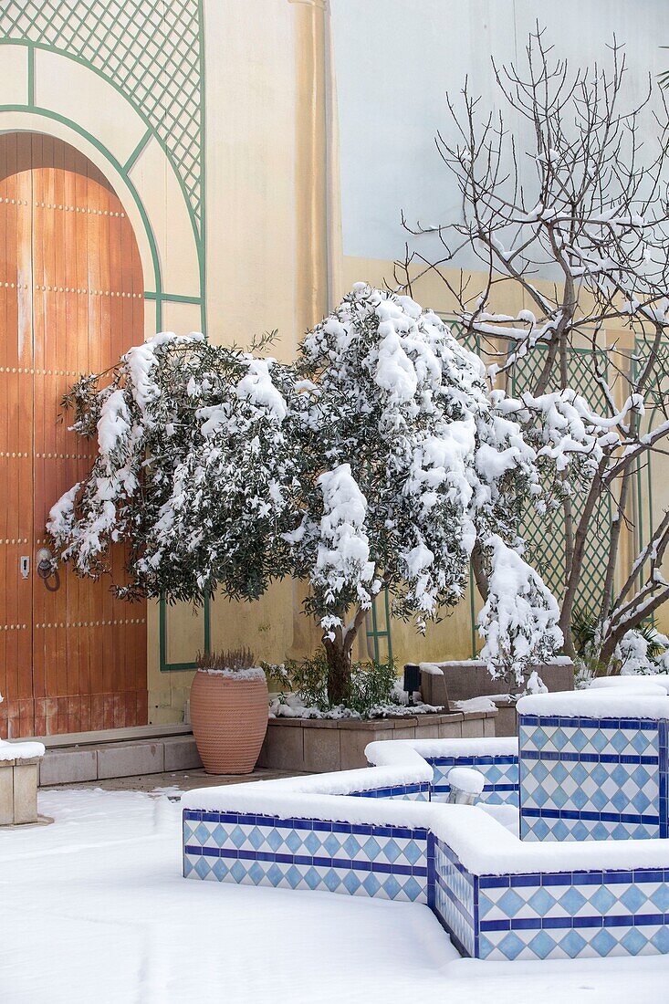 Frankreich, Hauts de Seine, Puteaux, Jardin du Sud, marokkanischer Garten im Winter