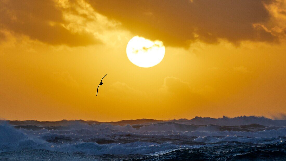 France, Finistère, Penmarc'h, sunset seen from the Pointe de Penmarc'h