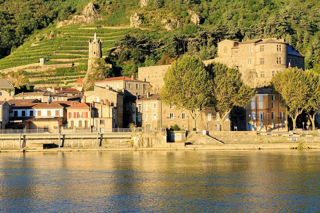 France, Ardeche, Tournon sur Rhone, the virgin tower (nineteenth), vineyard, The Rhone