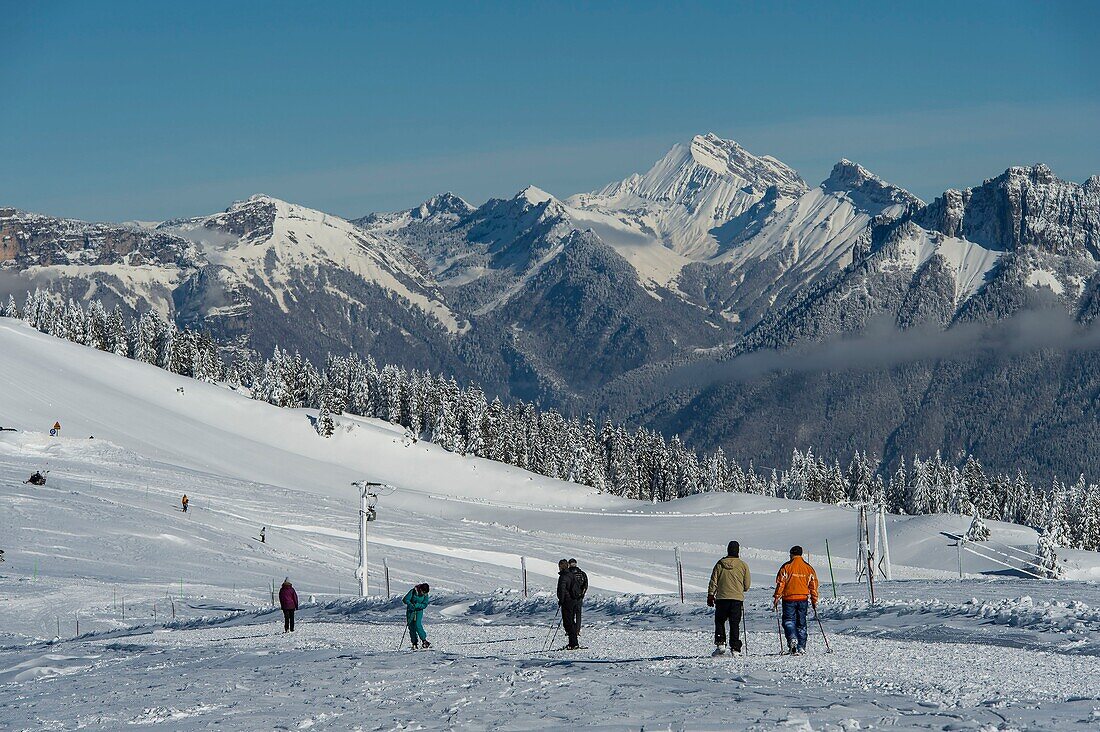 France, Haute Savoie, massive Bauges, above Annecy limit with the Savoie, the Semnoz plateau exceptional belvedere on the Northern Alps, pedestrian tracks and massive Bornes and Bargy