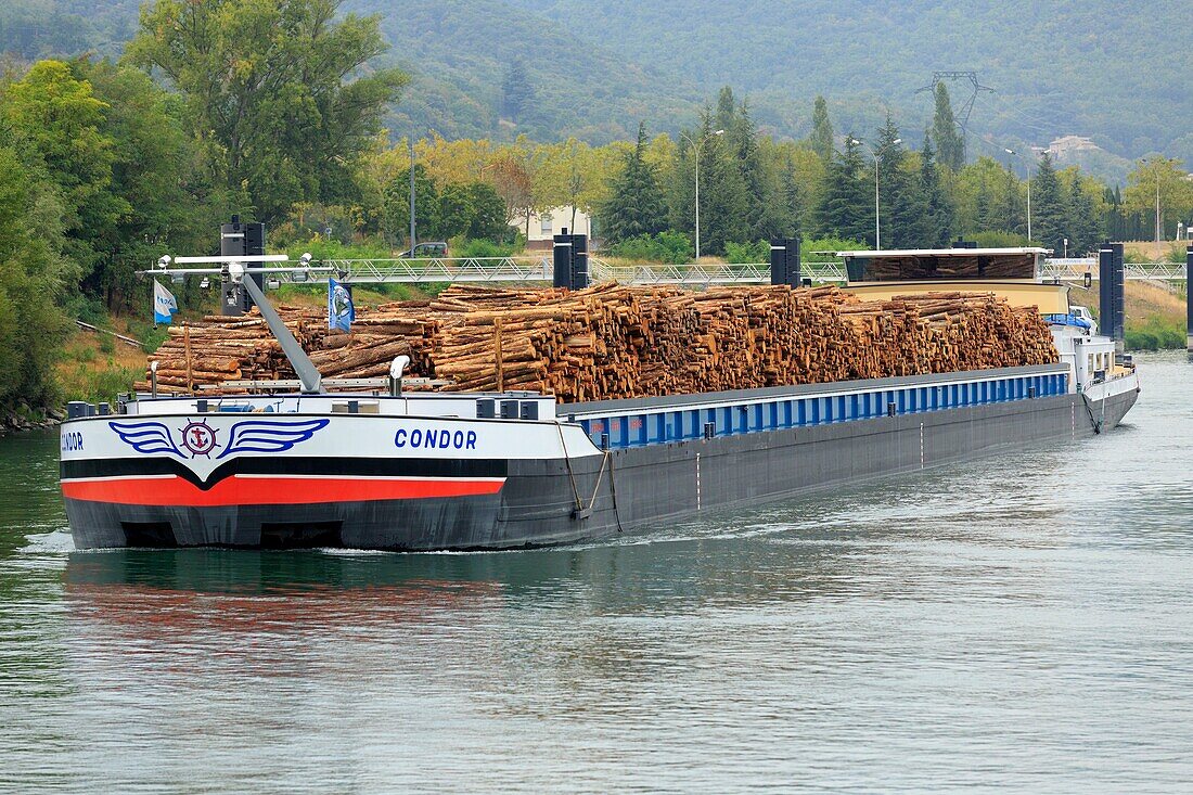 France, Ardeche, Beauchastel, barge carrying wood on the Rhone
