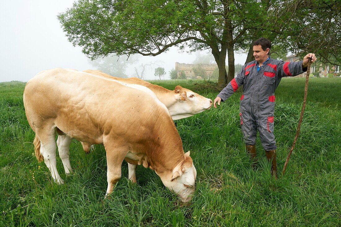 Frankreich, Tarn, Montdurausse, Les Viarnels, Damien Blanc, Züchter von Limousin-Kühen