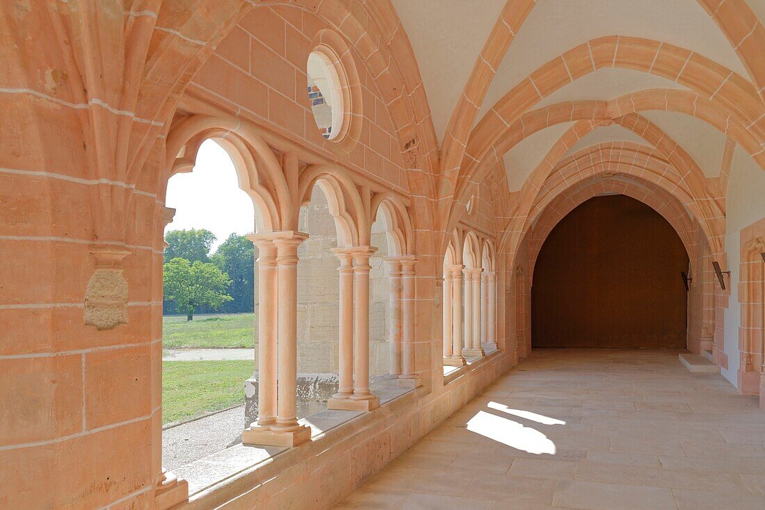 France, Cote d'Or, Saint Nicolas les Citeaux, Abbey Notre Dame of Citeaux, founder of the order of Cistercians, The library