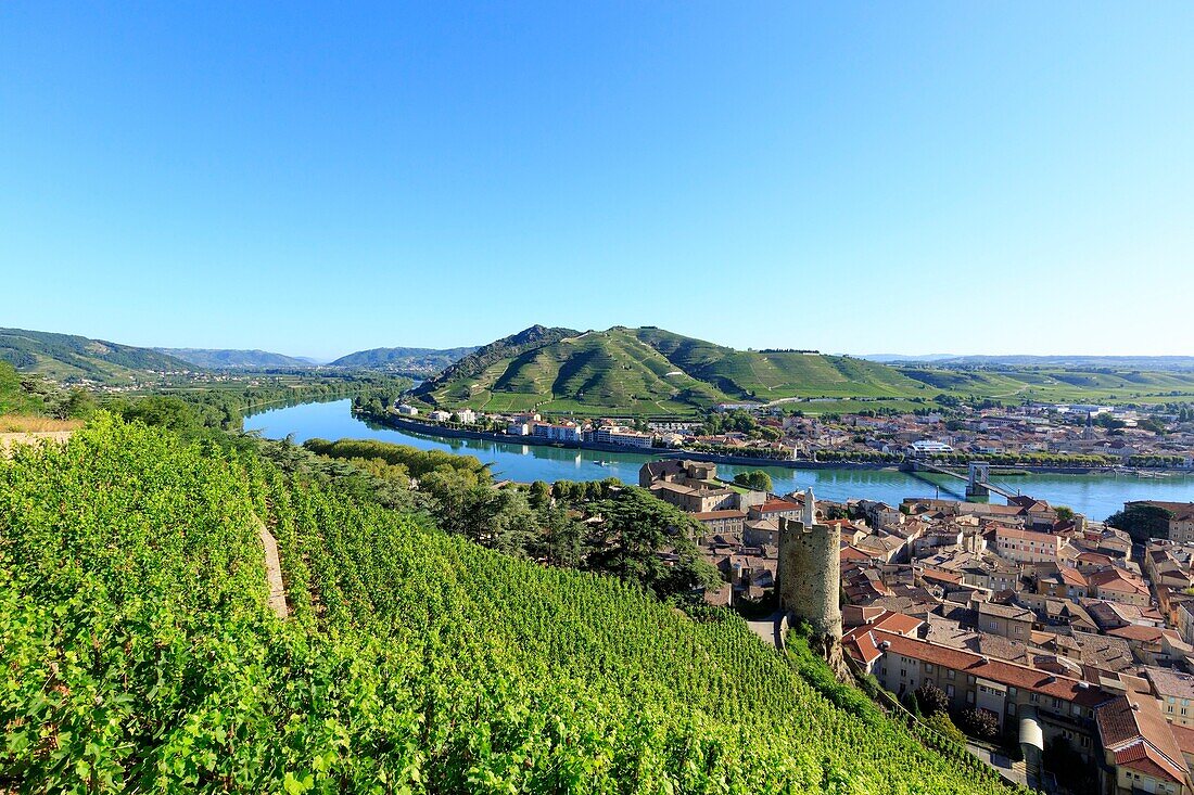 France, Ardeche, Tournon sur Rhone, The Rhone