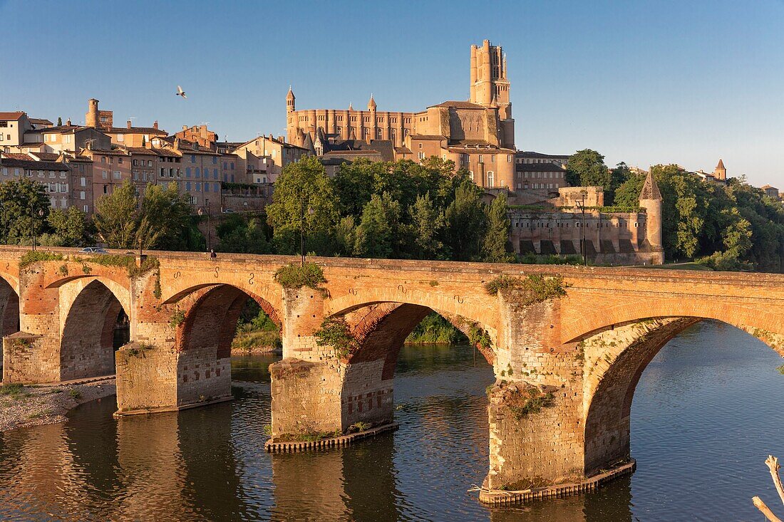 Frankreich, Tarn, Albi, von der UNESCO zum Weltkulturerbe erklärt, die Kathedrale, die alte Brücke und der Fluss Tarn