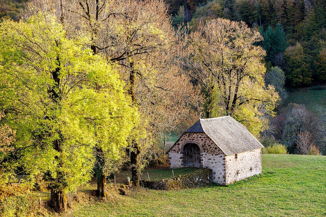 France, Cantal, regional natural park of Auvergne volcanoes, Pays de Salers, Tournemire, labeled the Most Beautiful Villages of France, traditional barn