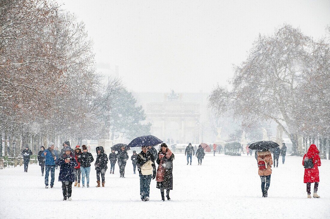 France, Paris, the Tuileries Garden under the snow