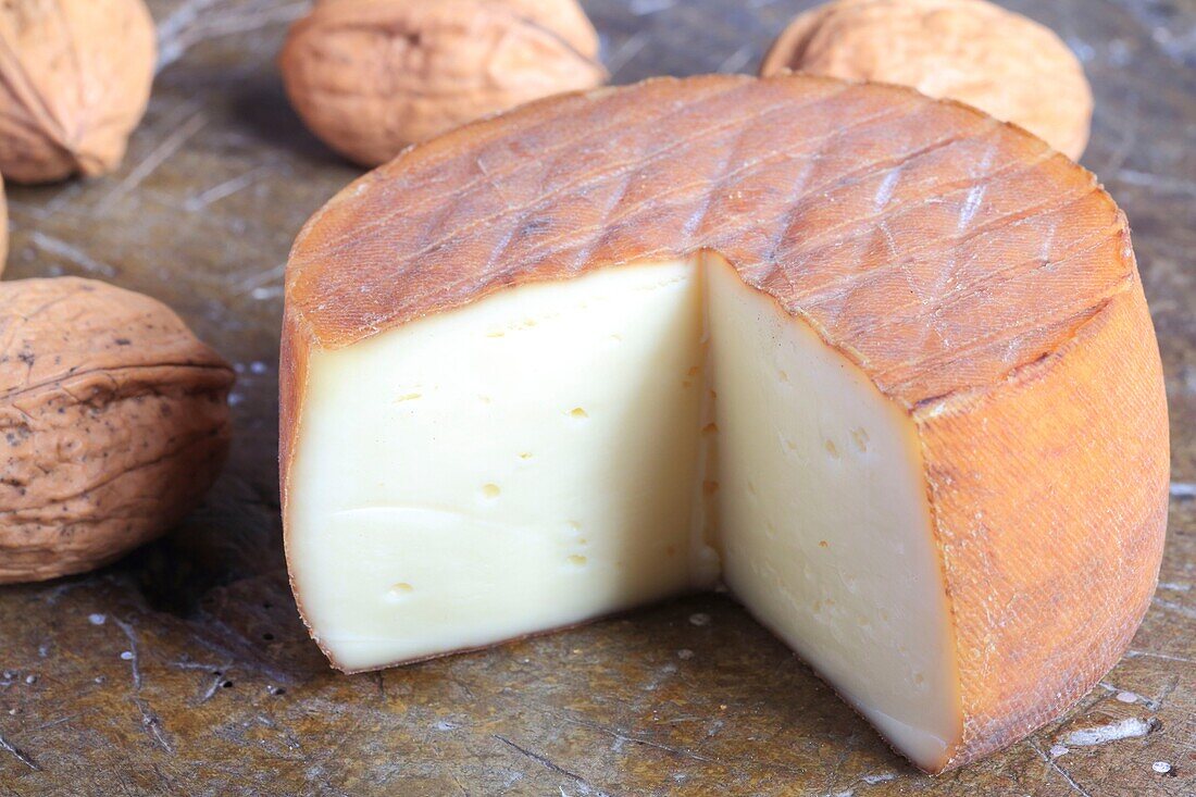 France, Dordogne, Perigord, echourgnac, Travers echourgnac cow's cheese refined by hand with walnut liqueur by the Trappist nuns of the Notre Dame de Bonne Esperance abbey