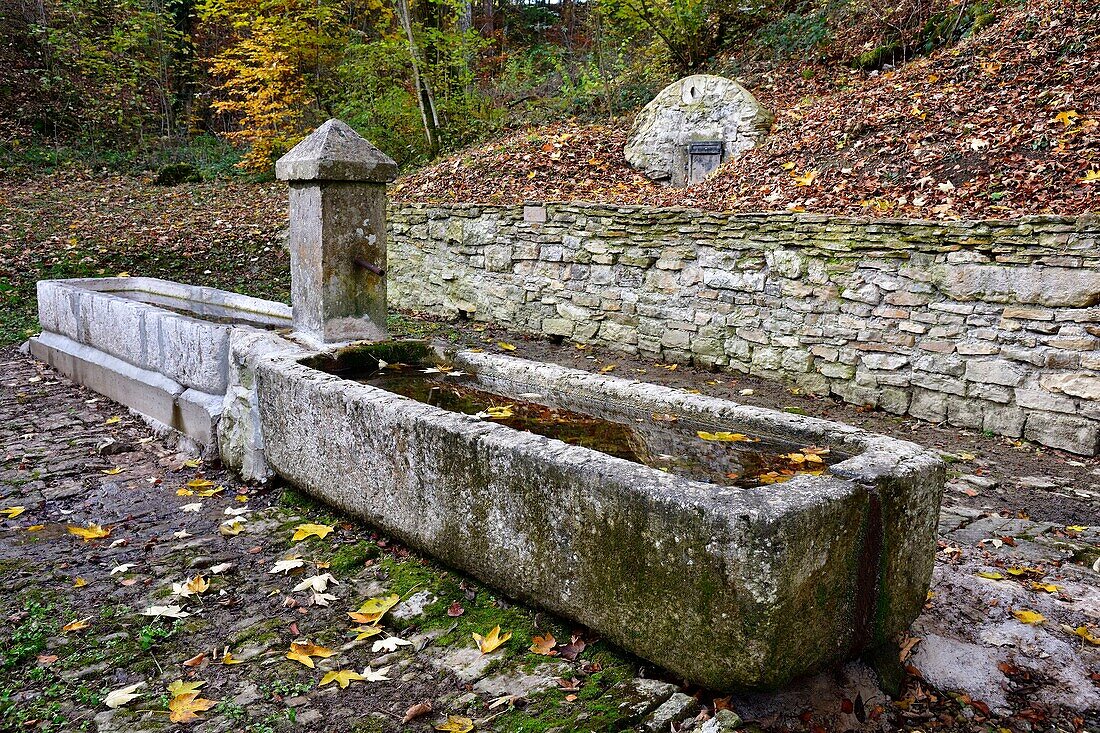 France, Doubs, Mancenans Lizerne, source and fountain of GODA