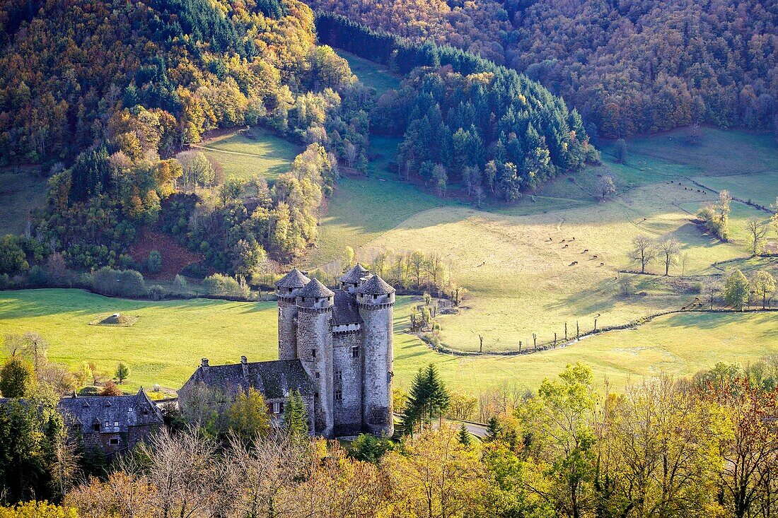 Frankreich, Cantal, regionaler natürlicher Park der Vulkane von Auvergne, Land von Salers, Tournemire, gekennzeichnet die schönsten Dörfer von Frankreich, das Schloß von Anjony von XVe Jahrhundert