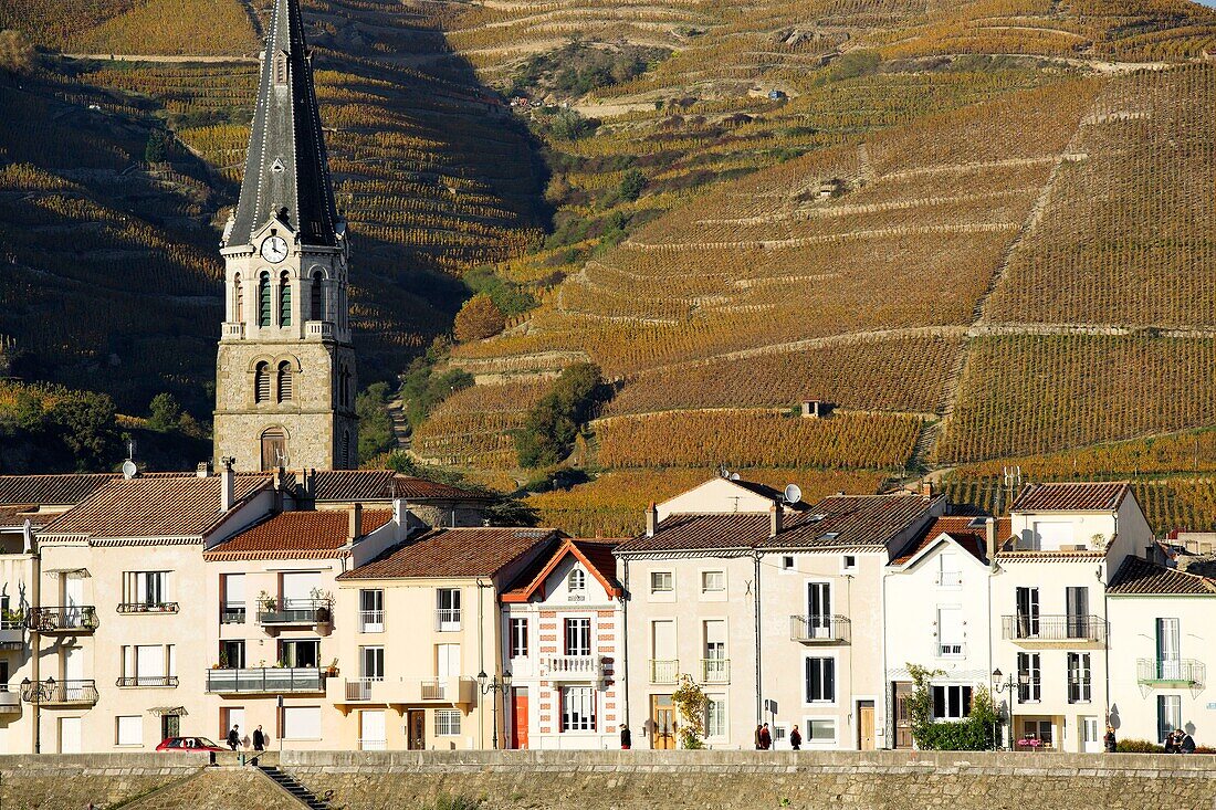 Frankreich, Drome, Tain l'Hermitage, Weinberg AOC Hermitage