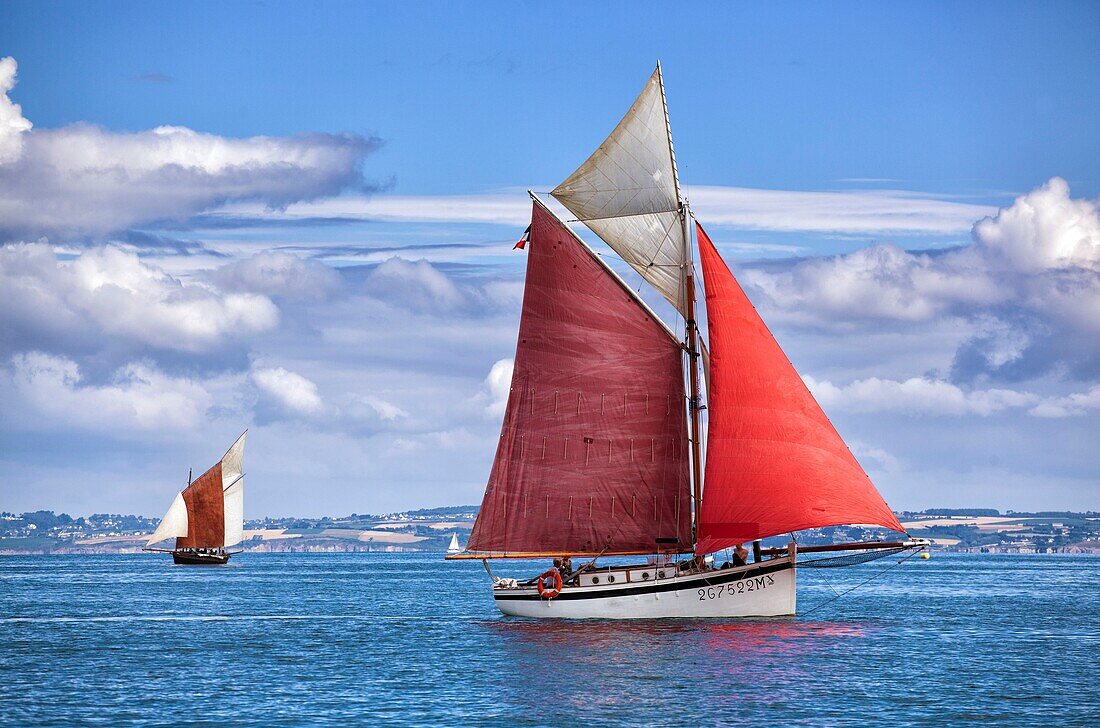 Frankreich, Finistere, Douarnenez, Festival Maritime Temps Fête, Treas, traditionelles Segelboot im Hafen von Rosmeur