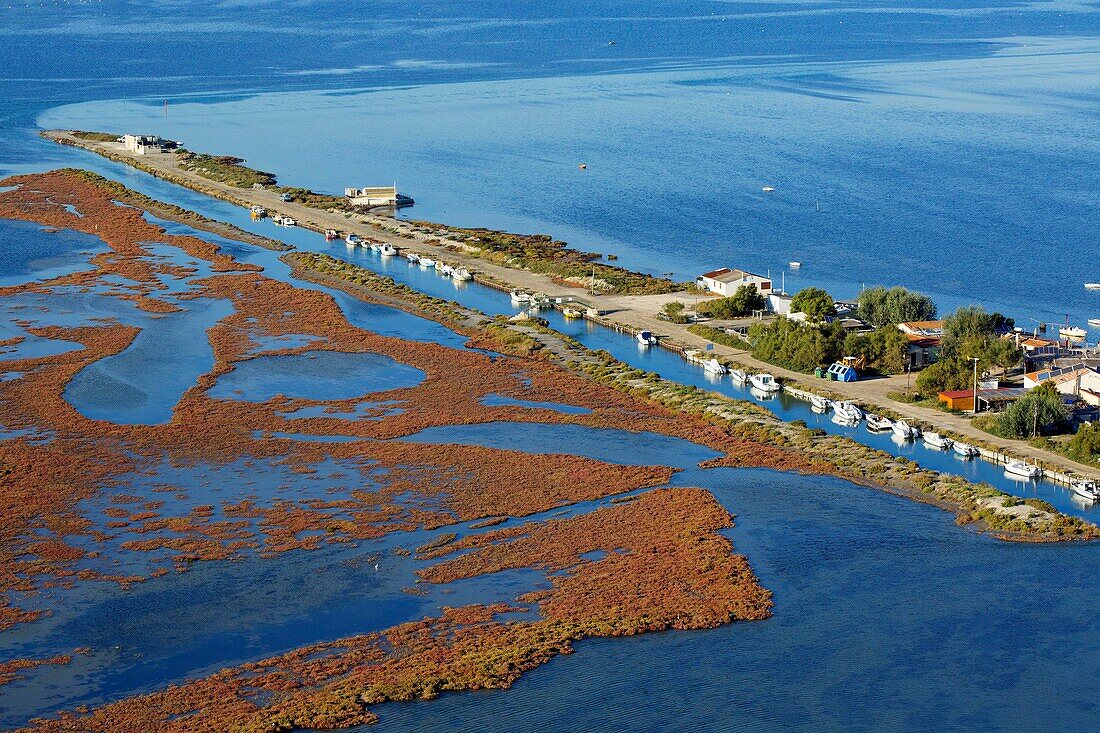 France, Bouches du Rhone, Regional Natural Park of Camargue, Port Saint Louis of the Rhone, They of Saint Antoine Ermite, hamlet of Cabanes de Carteau (aerial view)