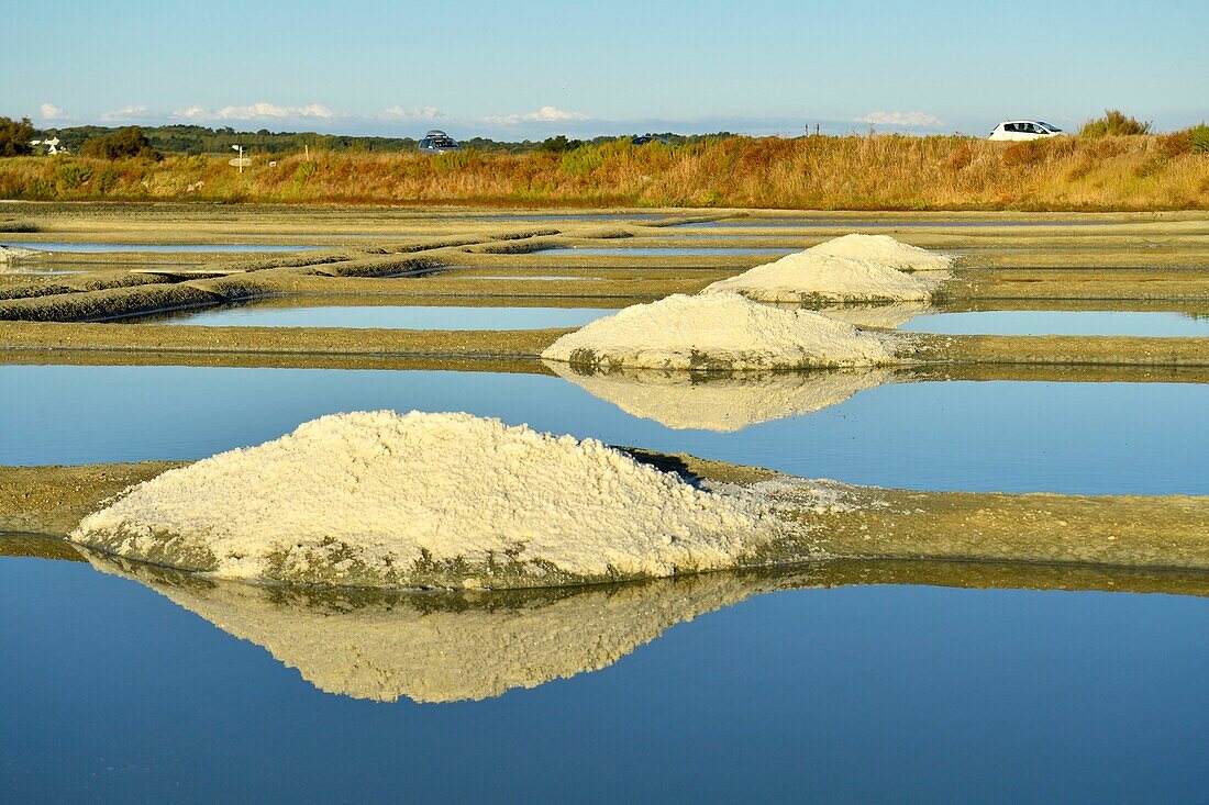 Frankreich, Loire Atlantique, Parc Naturel Regional de la Briere (Regionaler Naturpark Briere), Presqu'ile de Guerande (Halbinsel von Guerande), Salzgärten von Guerande