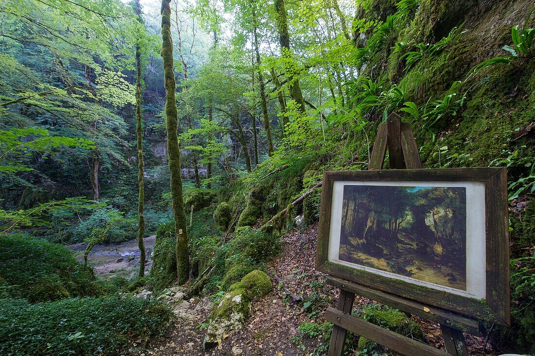 Frankreich, Doubs, Loue-Tal, die Schlucht des Puy Noir in Richtung Ornans, Aufenthaltsort des Malers Gustave Courbet