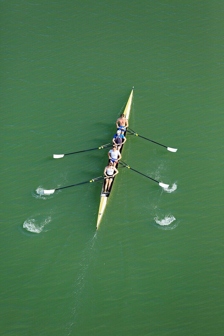 France, Gard, Beaucaire, rowing on the Rhone (aerial view)