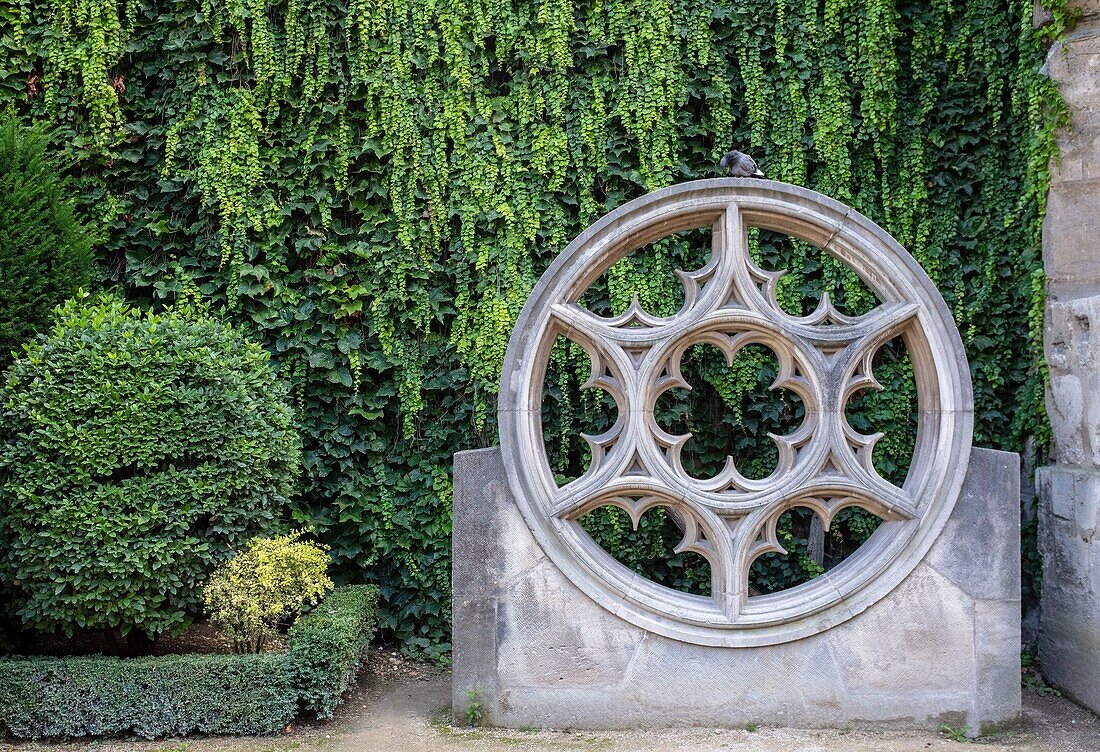 France, Paris, garden of the mansion of Sully buit during the XVIIth century in the Marais district, rosace