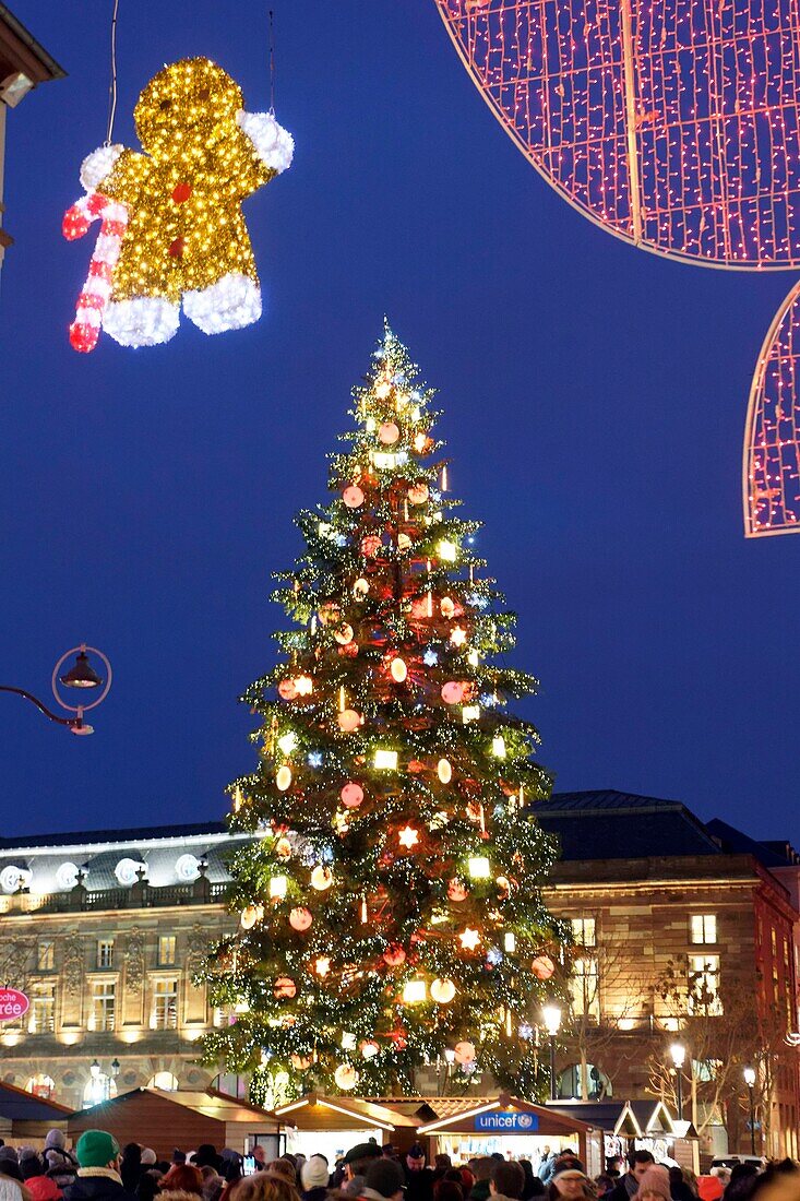 France, Bas Rhin, Strasbourg, old town listed as World Heritage by UNESCO, the big christmas tree on Place Kleber