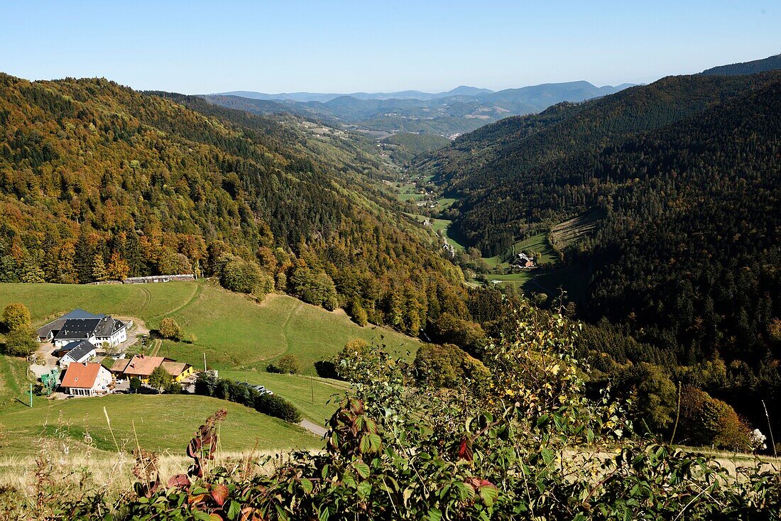 Frankreich, Haut Rhin, Le Bonhomme, Col des Bagenelles, Bauernhaus La Graine Johe, mit Blick auf das Tal von Sainte Marie aux Mines