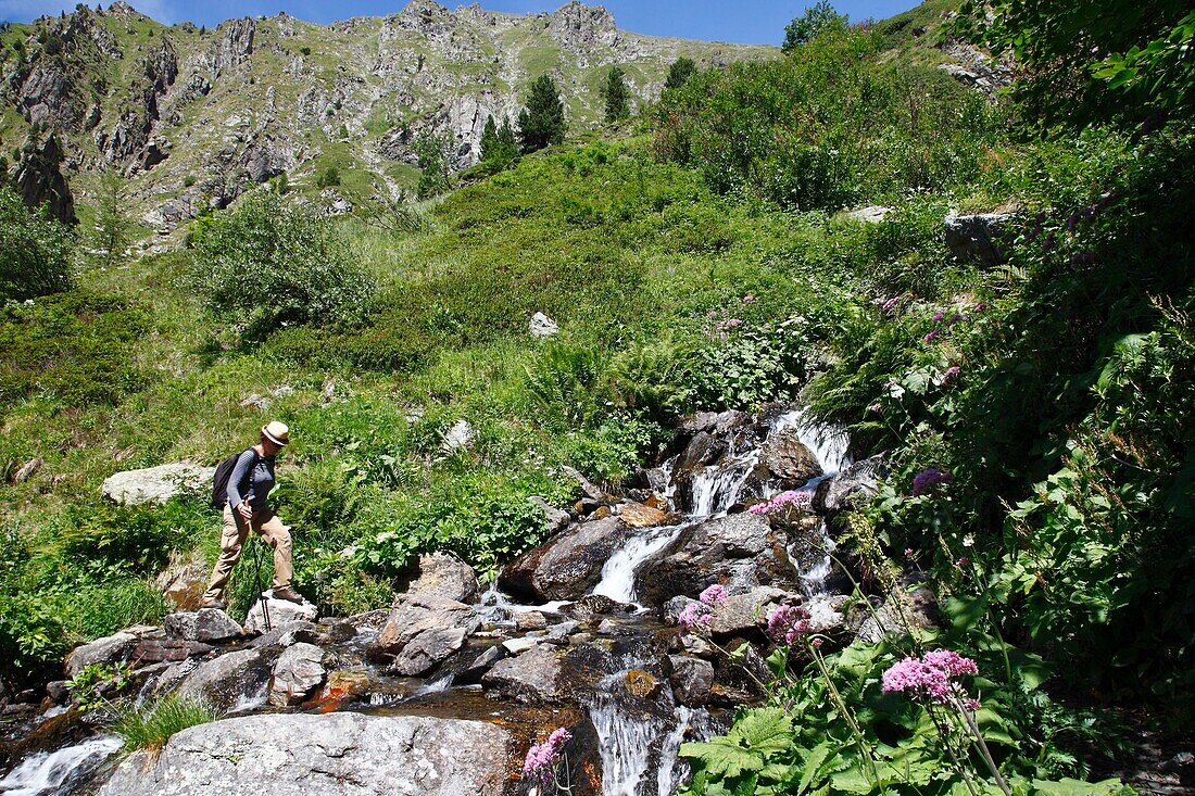 France, Isere, Lavaldens, Female hiker crossing the Rif bruyant river