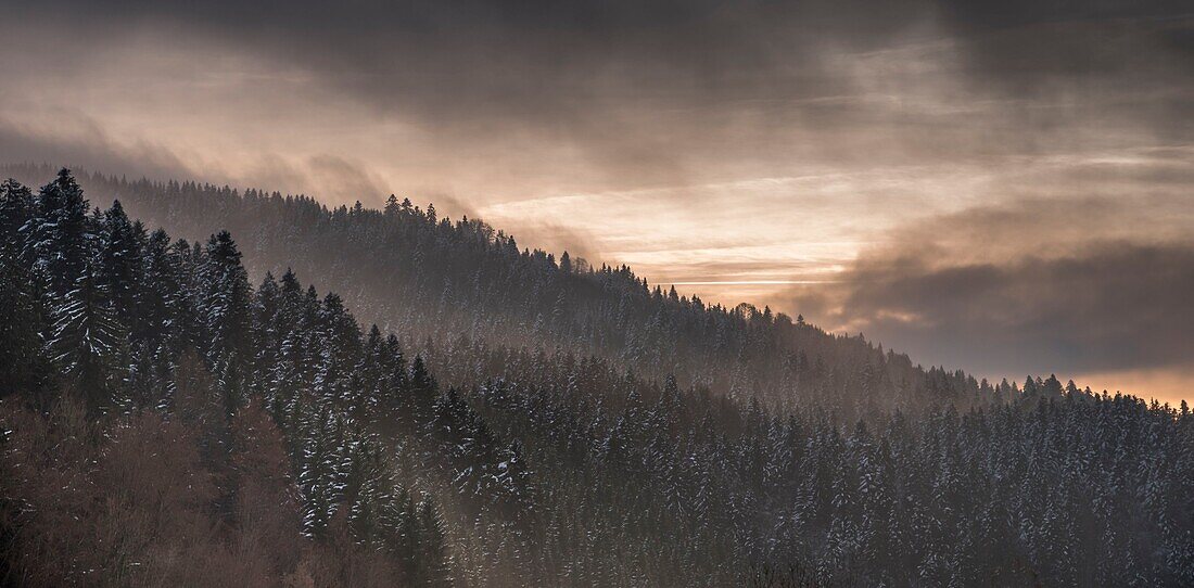 France, Doubs, clouds over snow-covered pines
