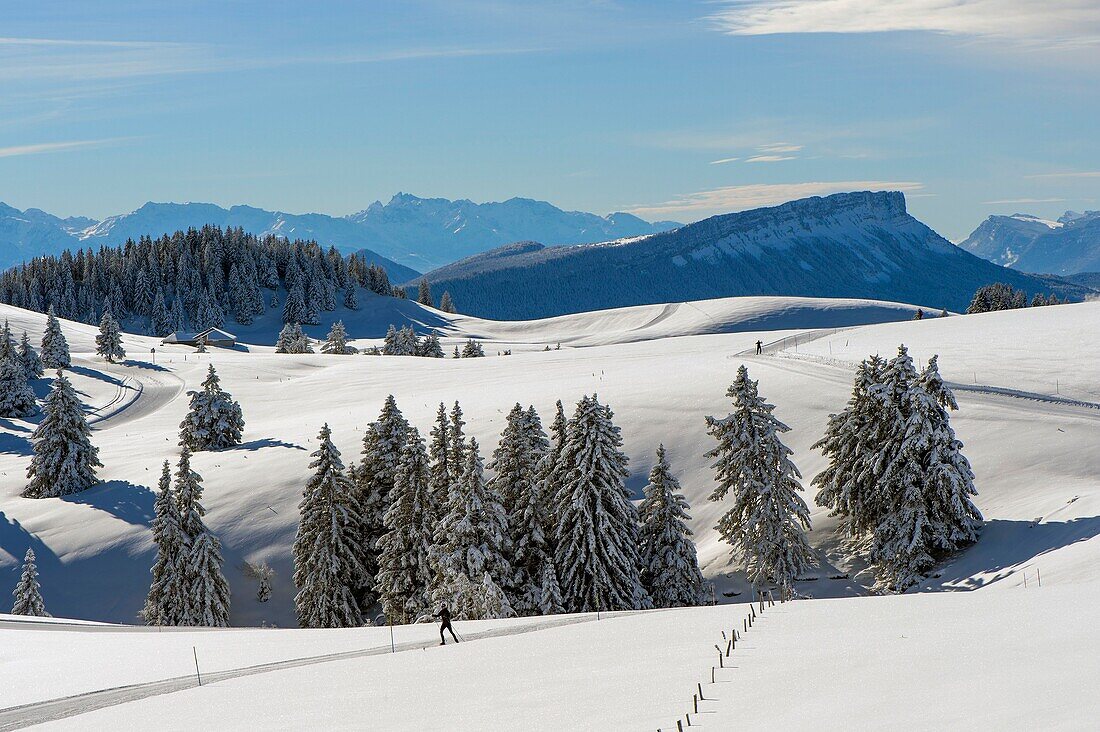 France, Haute Savoie, massive Bauges, Semnoz plateau above Annecy and its trails for walking and cross country skiing and the Margeriaz mountain