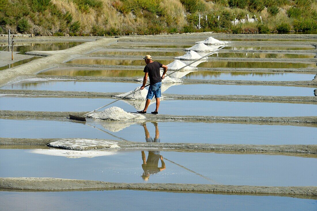 France, Loire Atlantique, Parc Naturel Regional de la Briere (Briere Natural Regional Park), Presqu'ile de Guerande (Guerande's Peninsula), salt marshes of Guerande, harvesting of the fleur de sel (flower of salt)