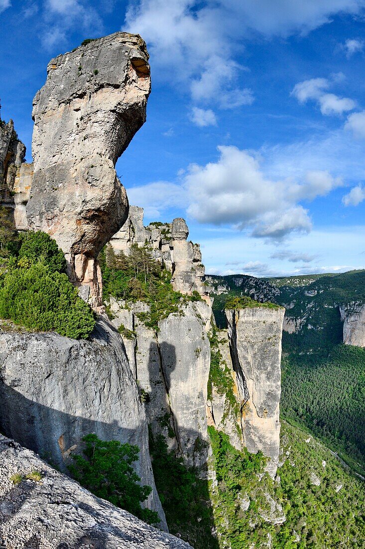 France, Lozere, Gorges de la Jonte, Sevre vase, cornice of jonte, balcony of vertigo