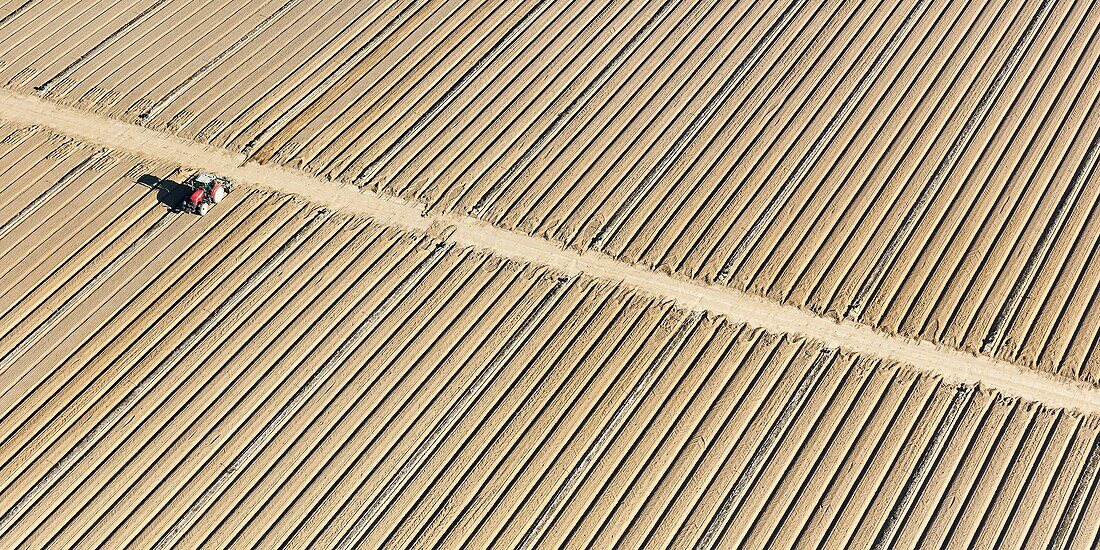 France, Vendee, Maché, tractor preparing a field to grow vegetables (aerial view)