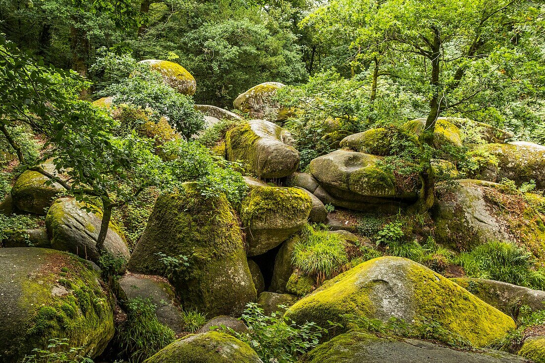 Frankreich, Finistere, Huelgoat, Regionales Naturreservat von Armorique, granitisches Chaos des Waldes von Huelgoat