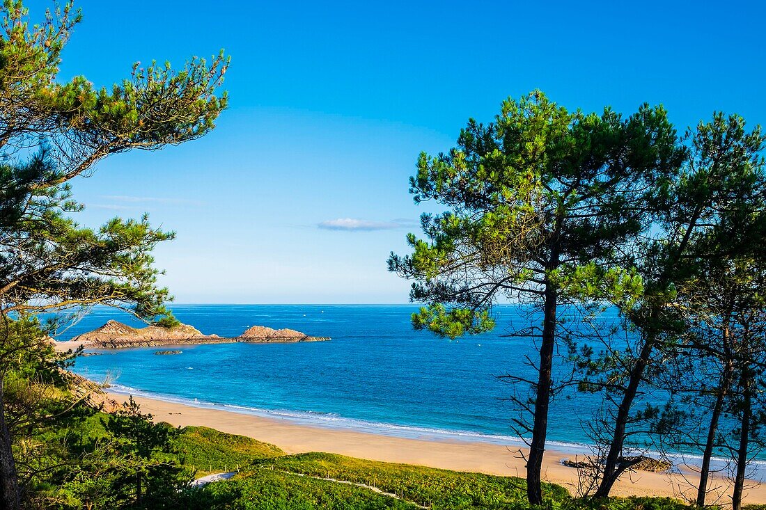 France, Cotes d'Armor, Erquy, Lourtuais beach in the heart of Erquy Cape