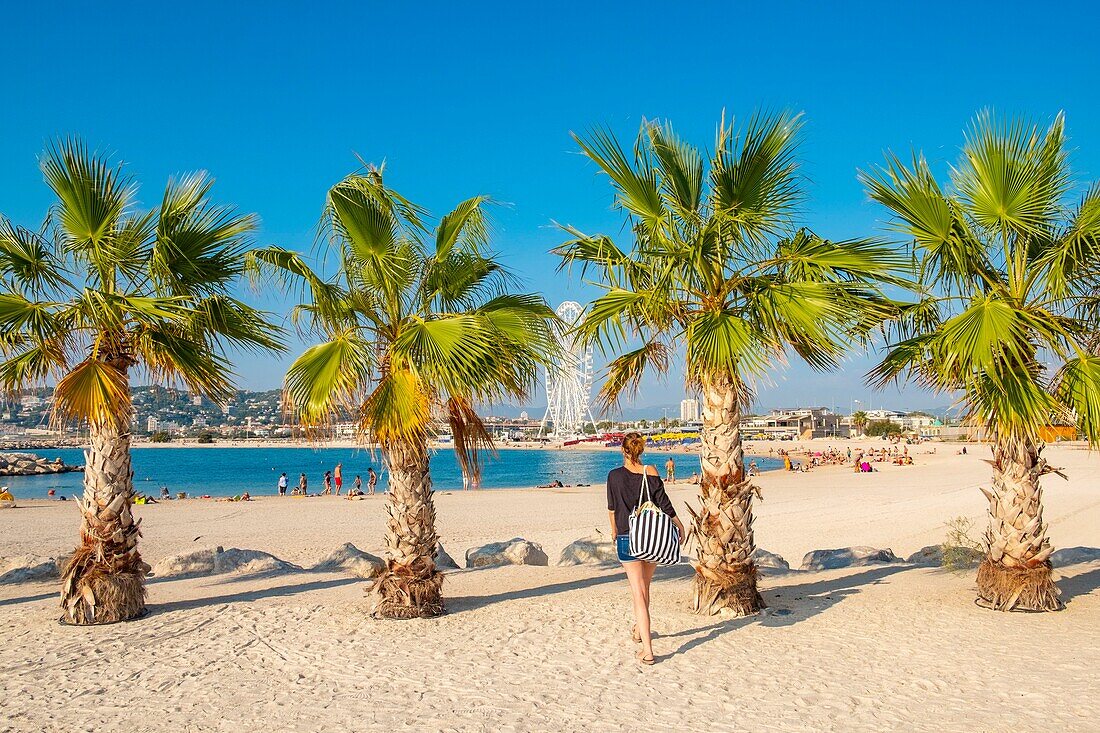 France, Bouches du Rhone, Marseille, Prado beaches, Bonneveine beach