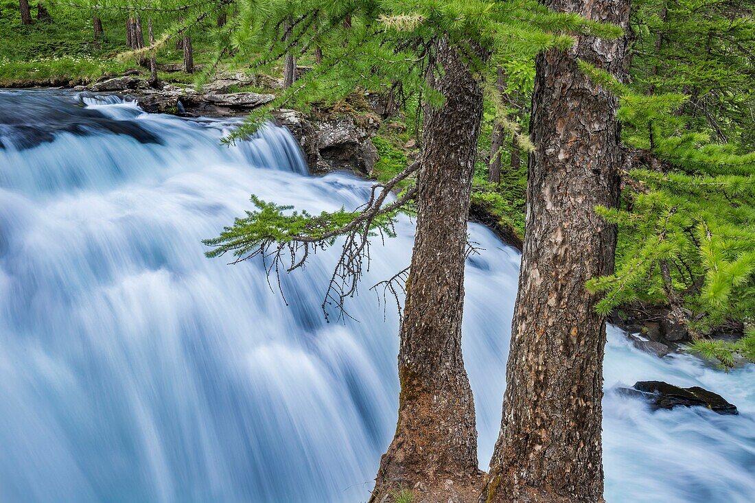 France, Hautes Alpes, Nevache, La Claree valley, hamlet of Fontcouverte, the cascade of Fontcouverte on the river Claree