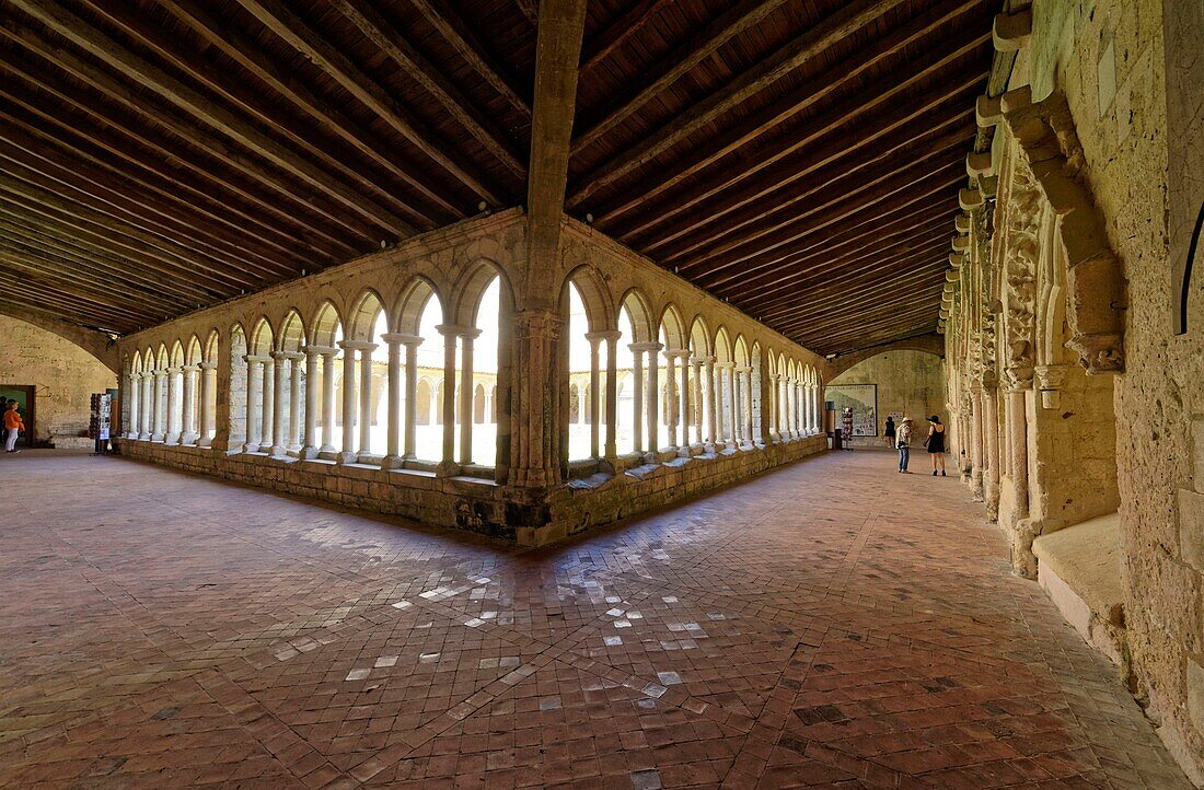 France, Gironde, Saint Emilion, listed as World Heritage by UNESCO, the medieval city, 12th century collegiate church, the cloister