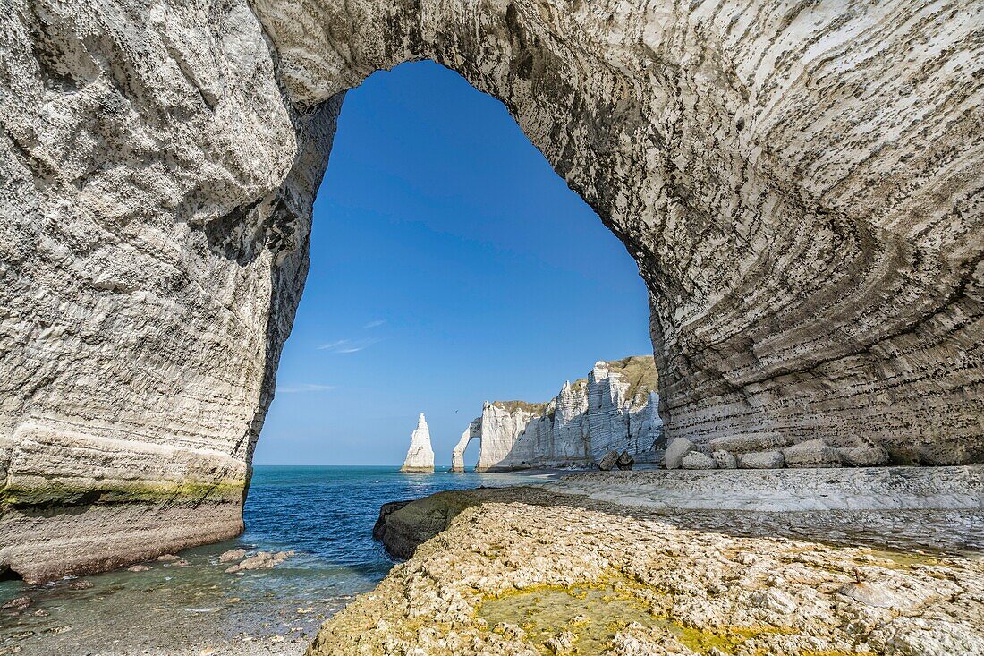 France, Seine Maritime, Cote d'albatre, Etretat, the cliff, arch and needle