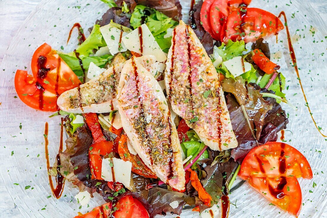 France, Bouches du Rhone, Marseille, fillet of red mullet in salad