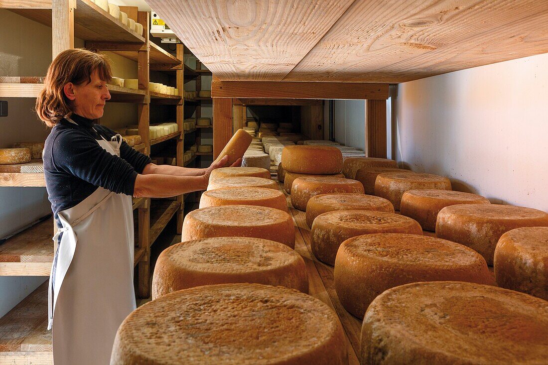 France, Pyrenees, Ariege, Seix, GAEC D'ARPOS, Sentenac d'Oust, cheese factory in Bethmale