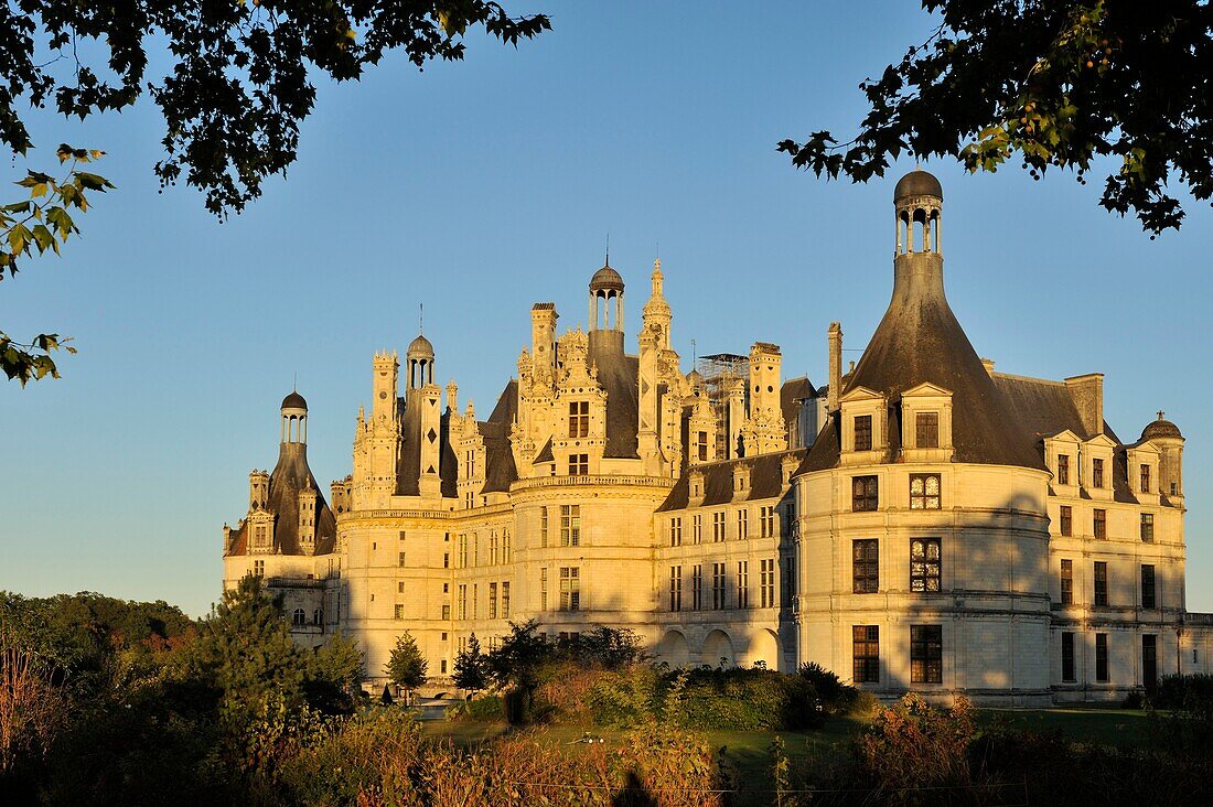 France, Loir et Cher, Valley of the Loire listed as World Heritage by UNESCO, Chambord, the Royal Castle, castle nestled in the greenery at sunset