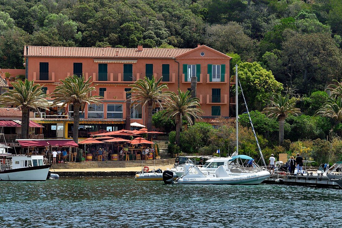 France, Var, Iles d'Hyeres, Parc National de Port Cros (National park of Port Cros), Port Cros island, the port and village