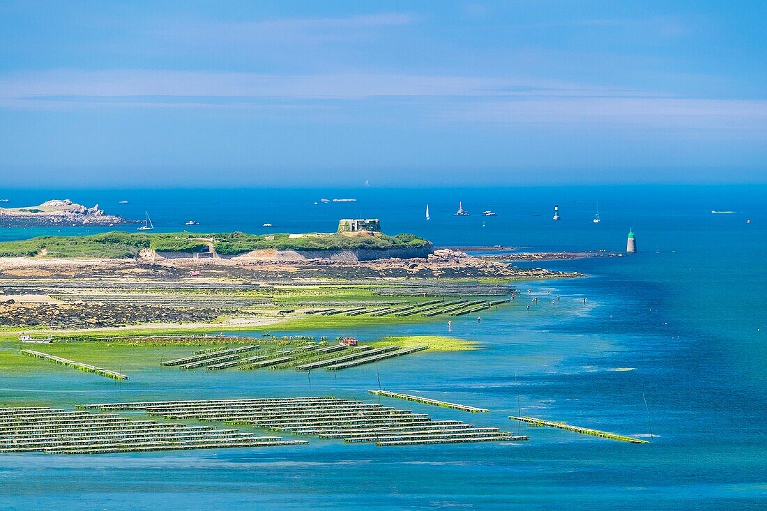 France, Finistère (29), Pays des Abers, Côte des Legendes, l'Aber Wrac'h, oysters park and Cezon Fort in the background