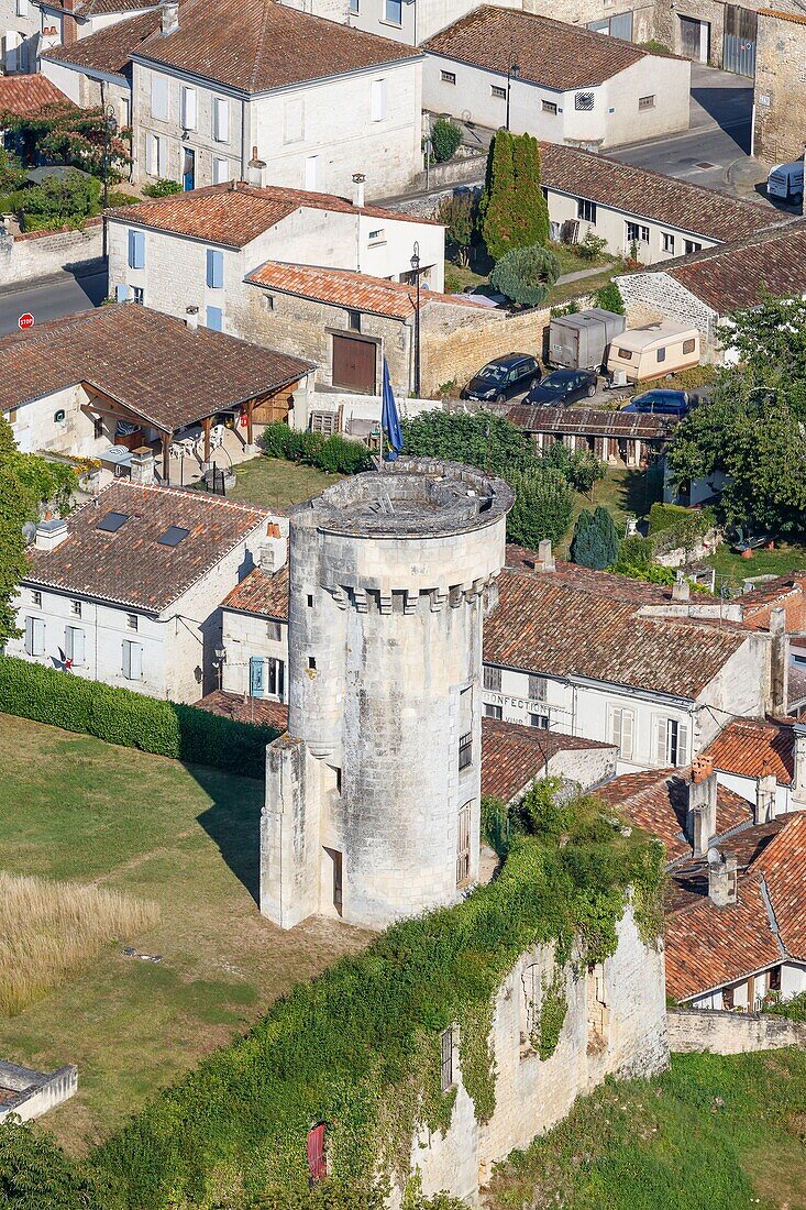 France, Charente Maritime, Taillebourg, the castle tower (aerial view)