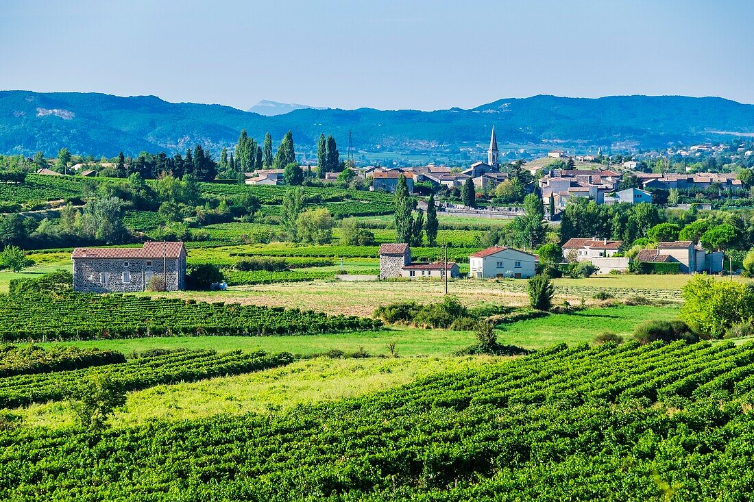 Frankreich, Ardeche, Lussas im Herzen der Ardeche-Weinberge, im Hintergrund die Monts d'Ardeche