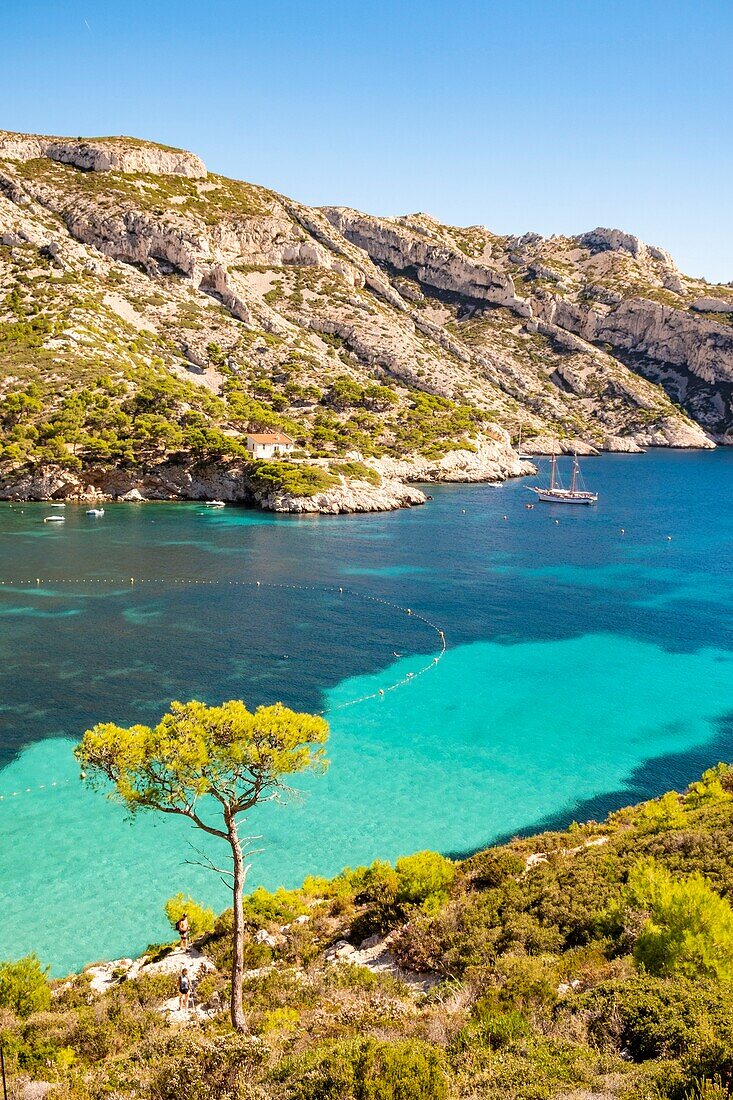 France, Bouches du Rhone, Marseille, Calanque of Sormiou, Calanques National Park