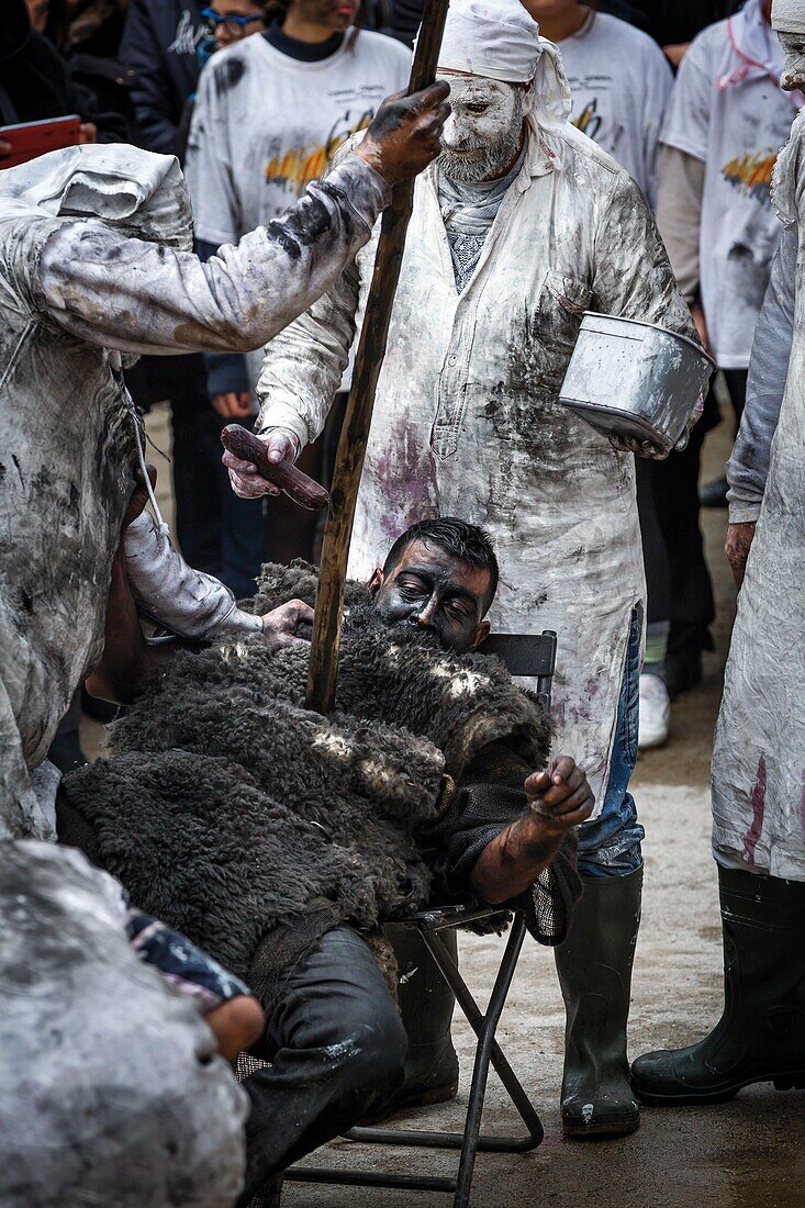 France, Pyrenees Orientales, Prats-de-Mollo, life scene during the bear celebrations at the carnival