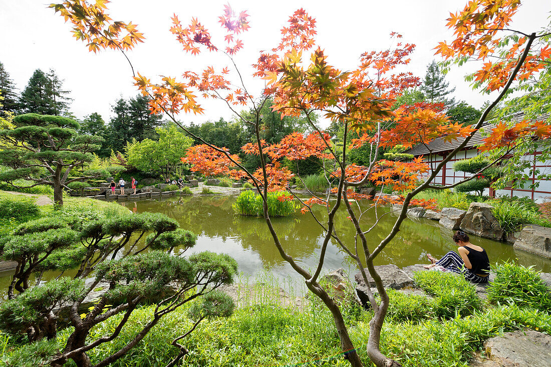 France, Loire Atlantique, Nantes, Ile de Nantes, the Japanese garden on the Island of Versailles