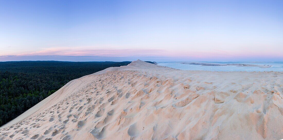 France, Gironde, Pyla-sur-Mer, La Teste de Buch, listed as Grand Site, view of the dune of the pilat at sunrise