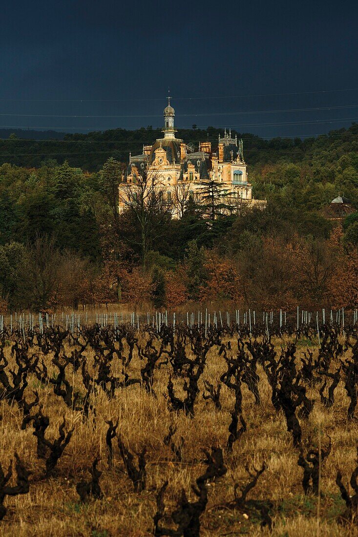 France, Pyrenees Orientales, Vallespir, Ceret, wine estate of the castle of Aubiry, view of the vineyard in winter under a stormy sky