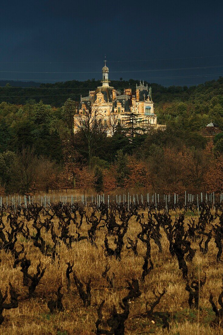 Frankreich, Pyrenees Orientales, Vallespir, Ceret, Weingut des Schlosses von Aubiry, Blick auf den Weinberg im Winter unter einem stürmischen Himmel